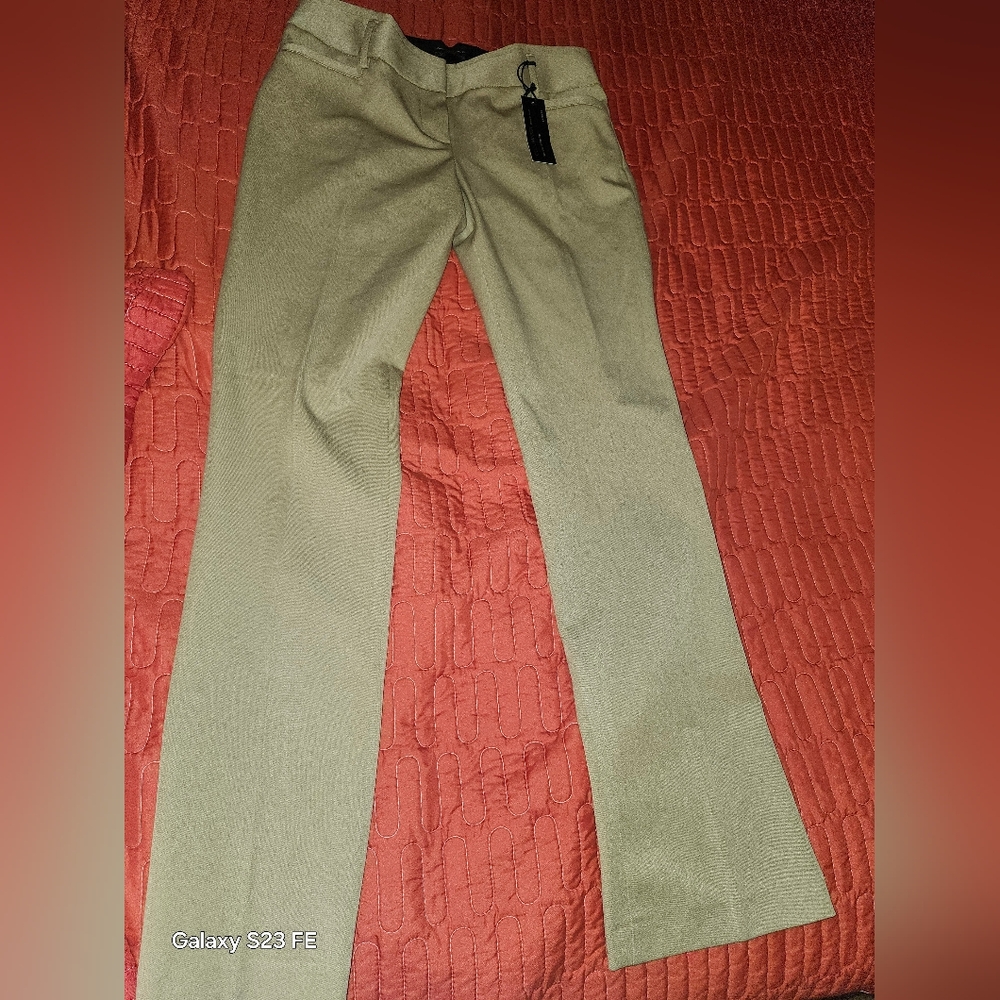 Express stretchy pant